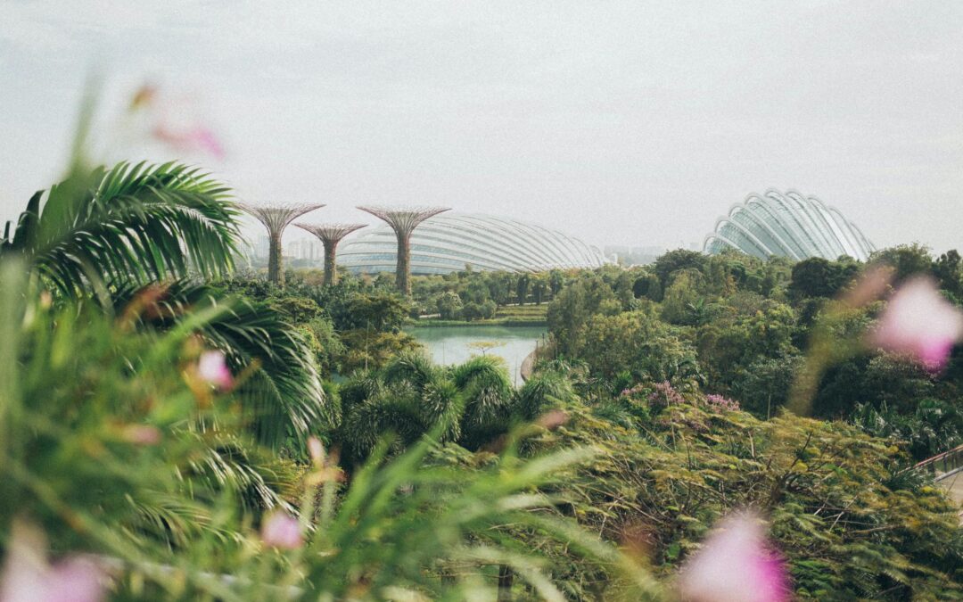 Singapore for Nature Lovers: Explore Nature Reserves and Gardens with a Limousine Rental Service